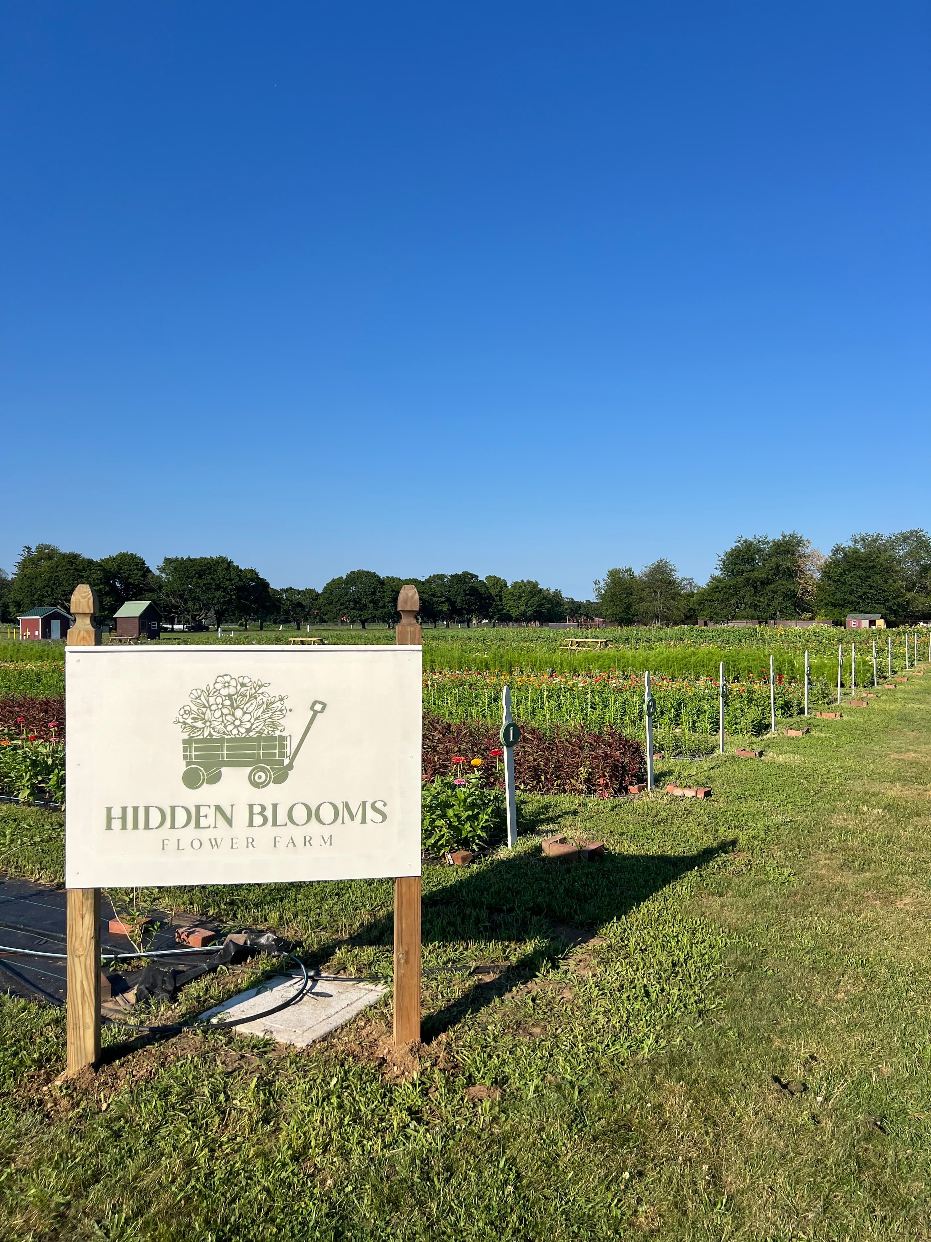 Hidden Blooms Flower Farm sign